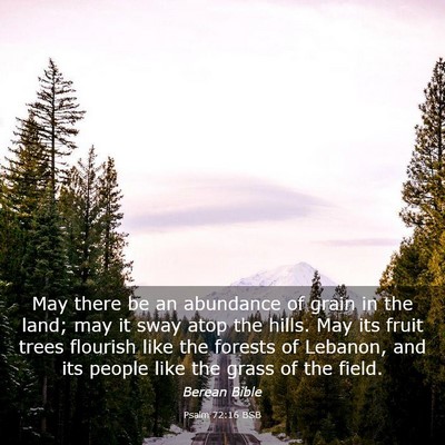 Picture 03 - Psalm 72:16 BSB - May there be an abundance of grain in the land; - Bible Verse Picture