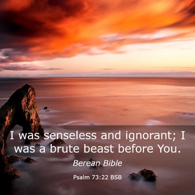 Picture 03 - Psalm 73:22 BSB - I was senseless and ignorant; I was a brute beast - Bible Verse Picture