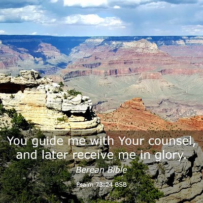 Picture 03 - Psalm 73:24 BSB - You guide me with Your counsel, and later receive - Bible Verse Picture