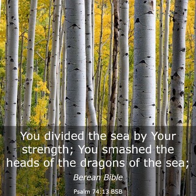 Picture 03 - Psalm 74:13 BSB - You divided the sea by Your strength; You smashed - Bible Verse Picture