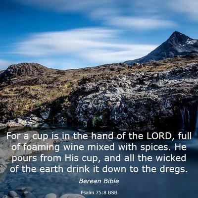 Picture 03 - Psalm 75:8 BSB - For a cup is in the hand of the LORD, full of - Bible Verse Picture