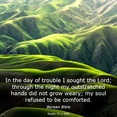 Picture 03 - Psalm 77:2 BSB - In the day of trouble I sought the Lord; through - Bible Verse Picture