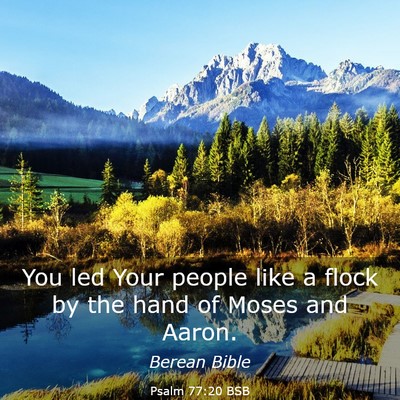 Picture 03 - Psalm 77:20 BSB - You led Your people like a flock by the hand of - Bible Verse Picture