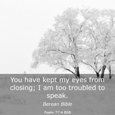 Picture 03 - Psalm 77:4 BSB - You have kept my eyes from closing; I am too - Bible Verse Picture