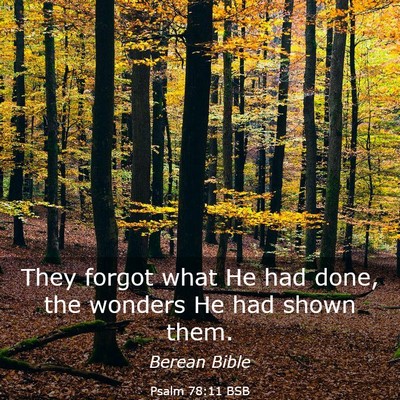 Picture 03 - Psalm 78:11 BSB - They forgot what He had done, the wonders He had - Bible Verse Picture