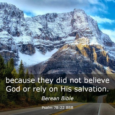 Picture 03 - Psalm 78:22 BSB - because they did not believe God or rely on His - Bible Verse Picture