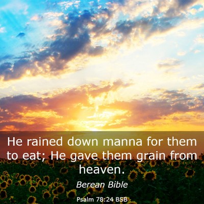 Picture 03 - Psalm 78:24 BSB - He rained down manna for them to eat; He gave - Bible Verse Picture