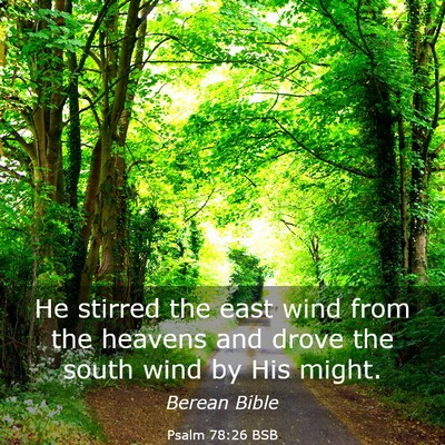 Picture 03 - Psalm 78:26 BSB - He stirred the east wind from the heavens and - Bible Verse Picture