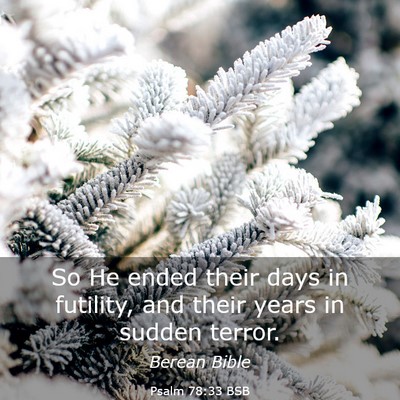 Picture 03 - Psalm 78:33 BSB - So He ended their days in futility, and their - Bible Verse Picture