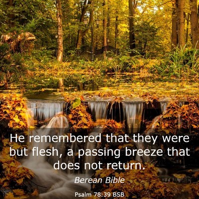 Picture 03 - Psalm 78:39 BSB - He remembered that they were but flesh, a passing - Bible Verse Picture