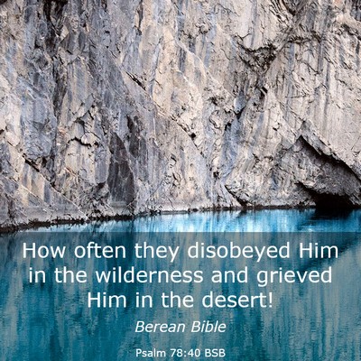 Picture 03 - Psalm 78:40 BSB - How often they disobeyed Him in the wilderness - Bible Verse Picture
