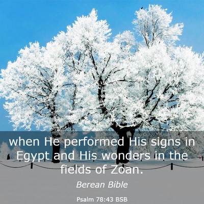 Picture 03 - Psalm 78:43 BSB - when He performed His signs in Egypt and His - Bible Verse Picture