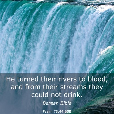 Picture 03 - Psalm 78:44 BSB - He turned their rivers to blood, and from their - Bible Verse Picture
