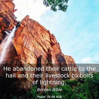 Picture 03 - Psalm 78:48 BSB - He abandoned their cattle to the hail and their - Bible Verse Picture