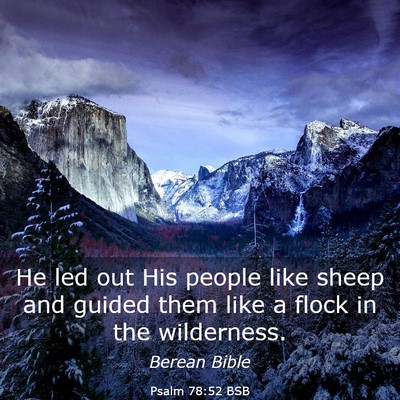 Picture 03 - Psalm 78:52 BSB - He led out His people like sheep and guided them - Bible Verse Picture