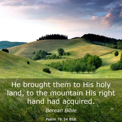 Picture 03 - Psalm 78:54 BSB - He brought them to His holy land, to the mountain - Bible Verse Picture