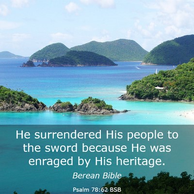 Picture 03 - Psalm 78:62 BSB - He surrendered His people to the sword because He - Bible Verse Picture