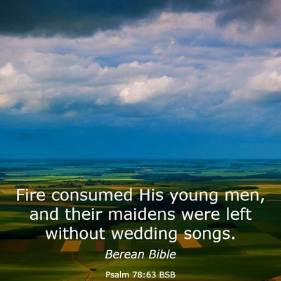 Picture 03 - Psalm 78:63 BSB - Fire consumed His young men, and their maidens - Bible Verse Picture