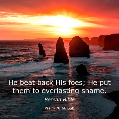 Picture 03 - Psalm 78:66 BSB - He beat back His foes; He put them to everlasting - Bible Verse Picture