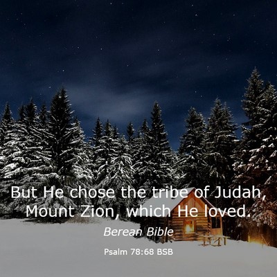 Picture 03 - Psalm 78:68 BSB - But He chose the tribe of Judah, Mount Zion, - Bible Verse Picture