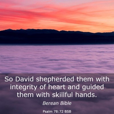 Picture 03 - Psalm 78:72 BSB - So David shepherded them with integrity of heart - Bible Verse Picture