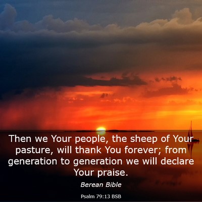 Picture 03 - Psalm 79:13 BSB - Then we Your people, the sheep of Your pasture, - Bible Verse Picture