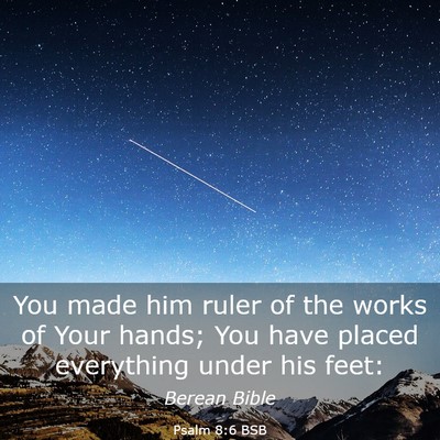 Picture 03 - Psalm 8:6 BSB - You made him ruler of the works of Your hands; - Bible Verse Picture