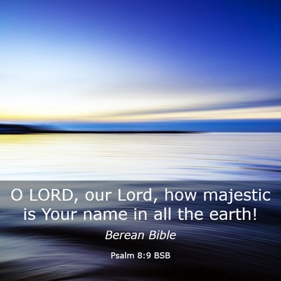 Picture 03 - Psalm 8:9 BSB - O LORD, our Lord, how majestic is Your name in - Bible Verse Picture