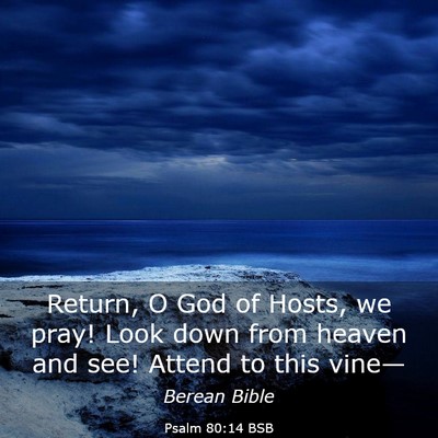 Picture 03 - Psalm 80:14 BSB - Return, O God of Hosts, we pray! Look down from - Bible Verse Picture