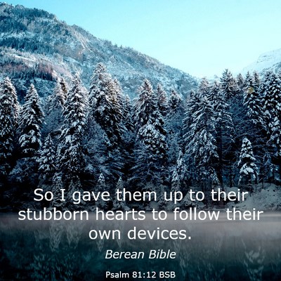 Picture 03 - Psalm 81:12 BSB - So I gave them up to their stubborn hearts to - Bible Verse Picture
