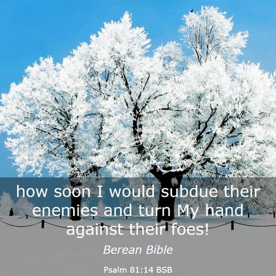 Picture 03 - Psalm 81:14 BSB - how soon I would subdue their enemies and turn My - Bible Verse Picture