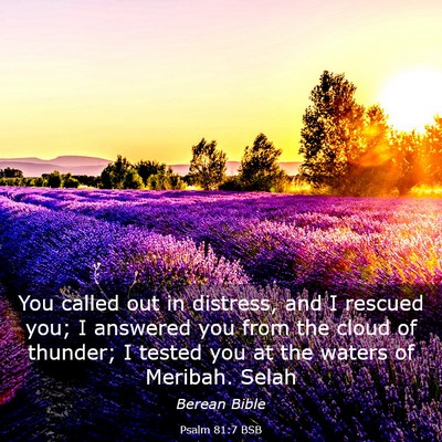 Picture 03 - Psalm 81:7 BSB - You called out in distress, and I rescued you; I - Bible Verse Picture