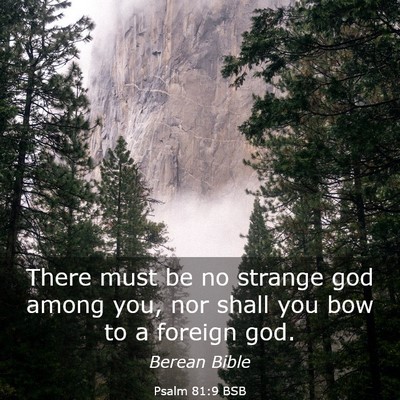 Picture 03 - Psalm 81:9 BSB - There must be no strange god among you, nor shall - Bible Verse Picture