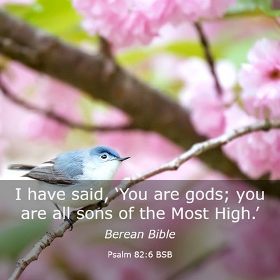 Picture 03 - Psalm 82:6 BSB - I have said, ‘You are gods; you are all sons of - Bible Verse Picture