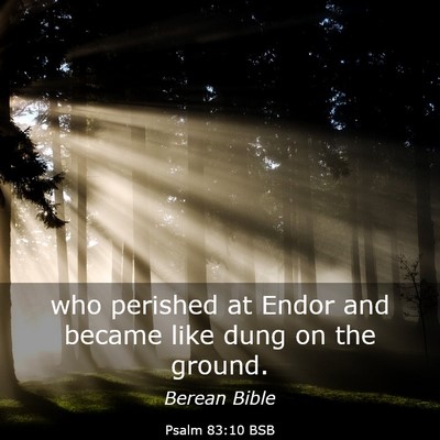 Picture 03 - Psalm 83:10 BSB - who perished at Endor and became like dung on the - Bible Verse Picture