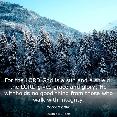 Picture 03 - Psalm 84:11 BSB - For the LORD God is a sun and a shield; the LORD - Bible Verse Picture