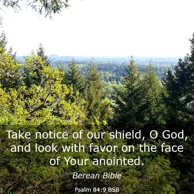 Picture 03 - Psalm 84:9 BSB - Take notice of our shield, O God, and look with - Bible Verse Picture