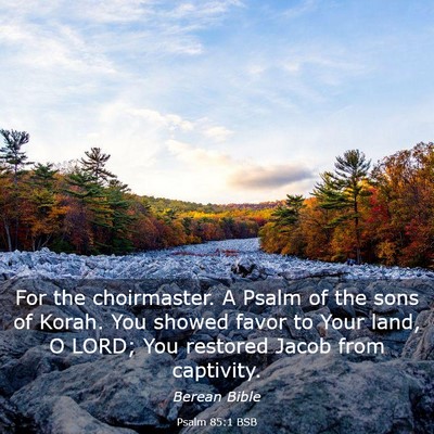 Picture 03 - Psalm 85:1 BSB - For the choirmaster. A Psalm of the sons of - Bible Verse Picture