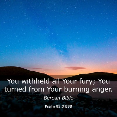 Picture 03 - Psalm 85:3 BSB - You withheld all Your fury; You turned from Your - Bible Verse Picture
