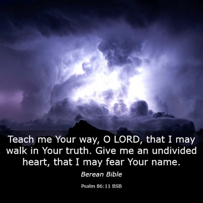 Picture 03 - Psalm 86:11 BSB - Teach me Your way, O LORD, that I may walk in - Bible Verse Picture