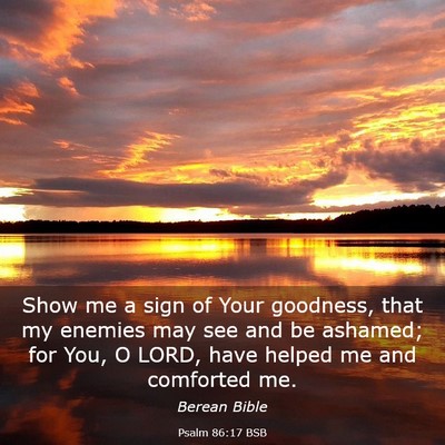 Picture 03 - Psalm 86:17 BSB - Show me a sign of Your goodness, that my enemies - Bible Verse Picture