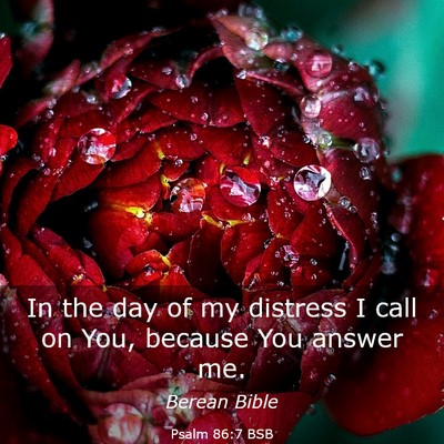 Picture 03 - Psalm 86:7 BSB - In the day of my distress I call on You, because - Bible Verse Picture