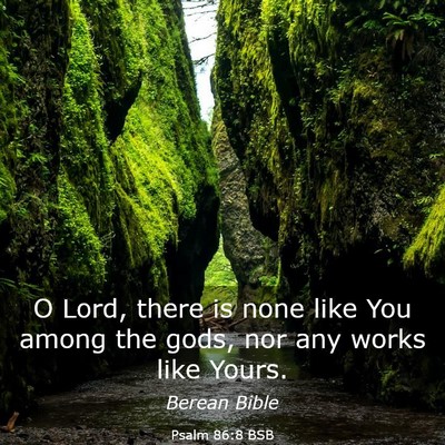 Picture 03 - Psalm 86:8 BSB - O Lord, there is none like You among the gods, - Bible Verse Picture