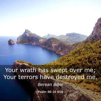 Picture 03 - Psalm 88:16 BSB - Your wrath has swept over me; Your terrors have - Bible Verse Picture