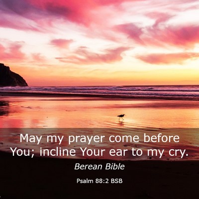 Picture 03 - Psalm 88:2 BSB - May my prayer come before You; incline Your ear - Bible Verse Picture