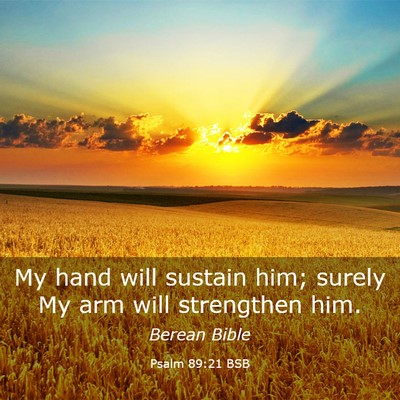 Picture 03 - Psalm 89:21 BSB - My hand will sustain him; surely My arm will - Bible Verse Picture