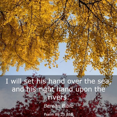 Picture 03 - Psalm 89:25 BSB - I will set his hand over the sea, and his right - Bible Verse Picture