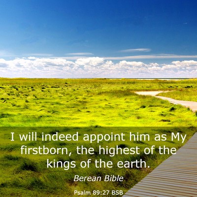 Picture 03 - Psalm 89:27 BSB - I will indeed appoint him as My firstborn, the - Bible Verse Picture