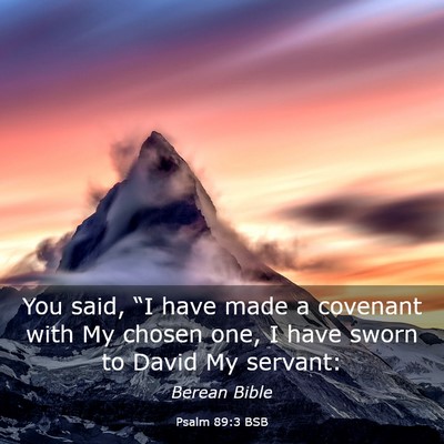 Picture 03 - Psalm 89:3 BSB - You said, “I have made a covenant with My - Bible Verse Picture