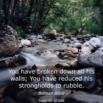 Picture 03 - Psalm 89:40 BSB - You have broken down all his walls; You have - Bible Verse Picture